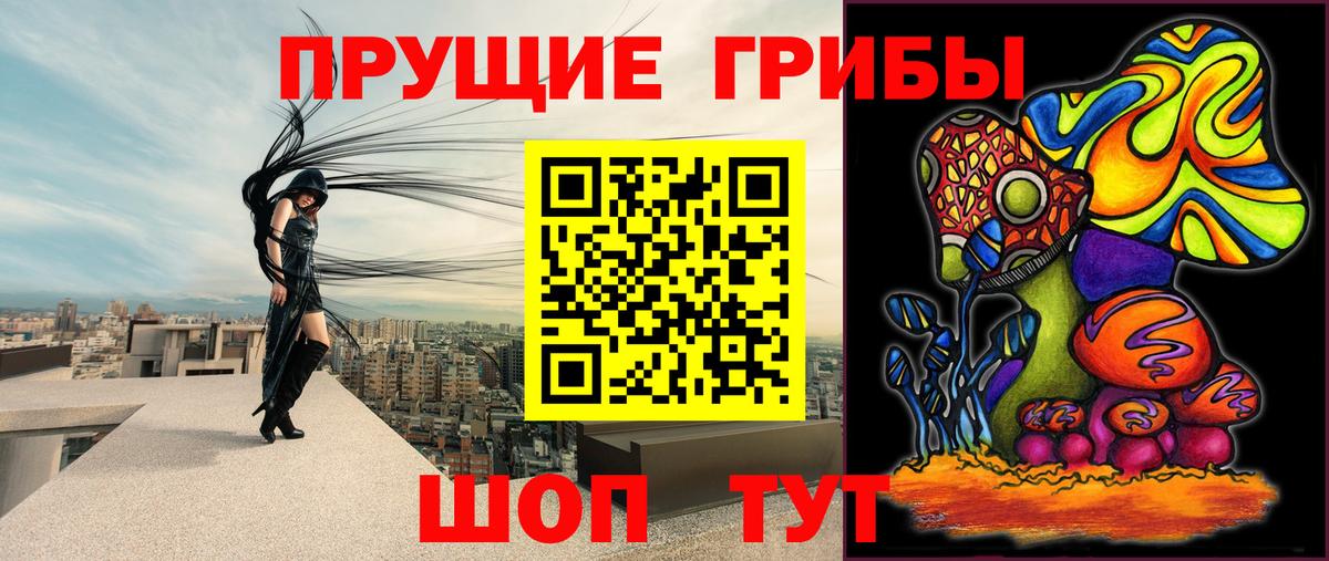 Реж  Псилоцибиновые грибы GOLDEN TEACHER  Галлюциногенные грибы GOLDEN TEACHER  Вход с VPN 