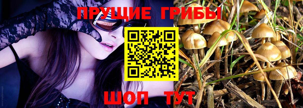Галлюциногенные грибы прущие грибы Реж