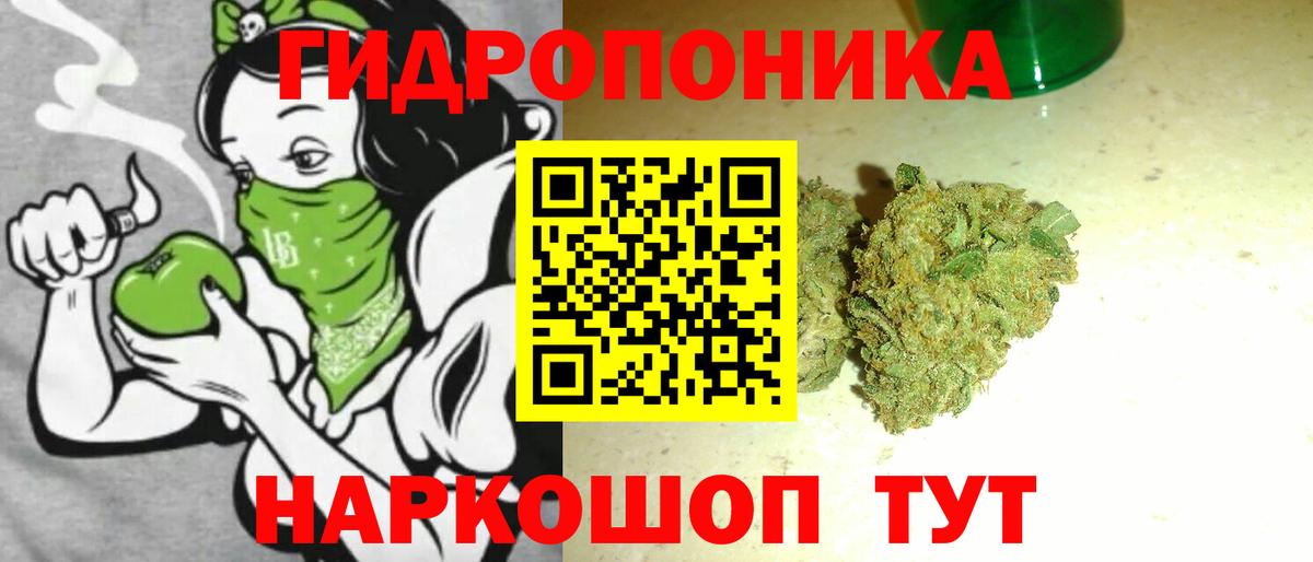 Бошки Шишки AK-47  Бошки Шишки Amnesia  Реж  Вход с VPN 